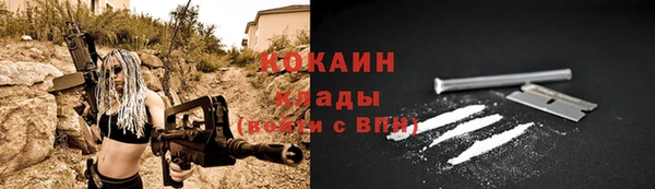 гашик Касимов