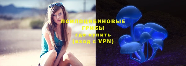гидра Киренск