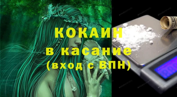гашик Касимов