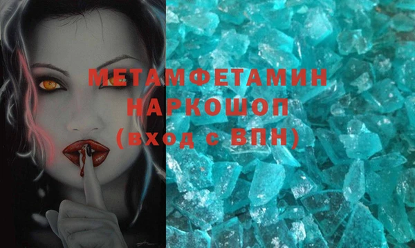 гидра Болотное