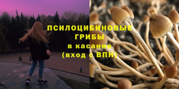 мефедрон Каменногорск