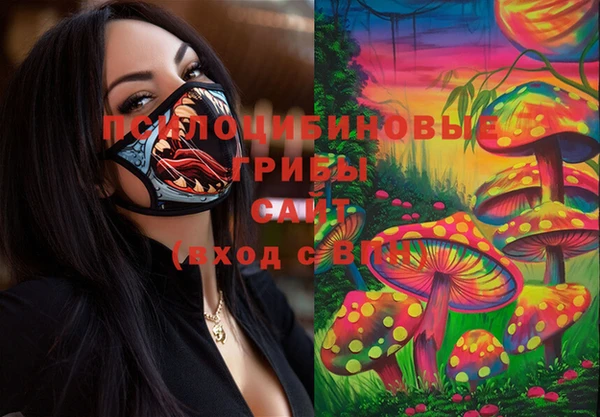 гашик Касимов